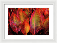 Tropicana Canna Glow 1 - Framed Print