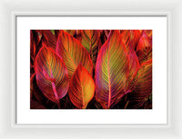 Tropicana Canna Glow 1 - Framed Print