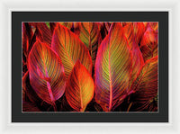 Tropicana Canna Glow 1 - Framed Print