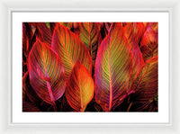 Tropicana Canna Glow 1 - Framed Print