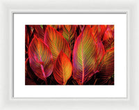 Tropicana Canna Glow 1 - Framed Print