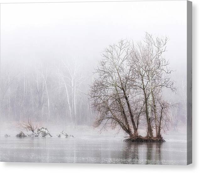 Winter Fog on the River 1 - Canvas Print