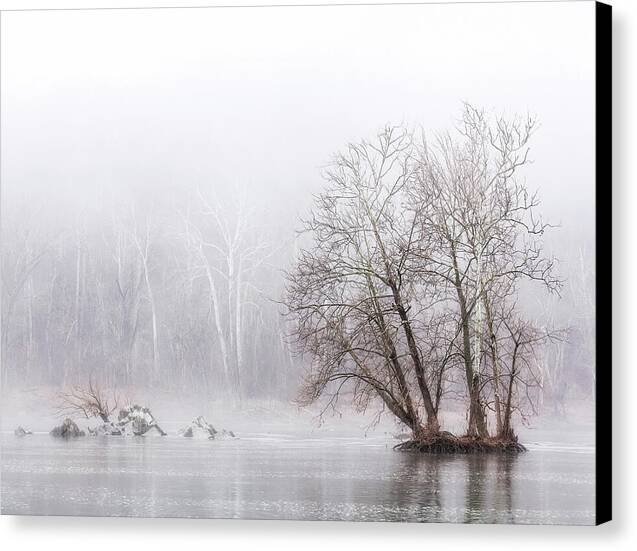 Winter Fog on the River 1 - Canvas Print