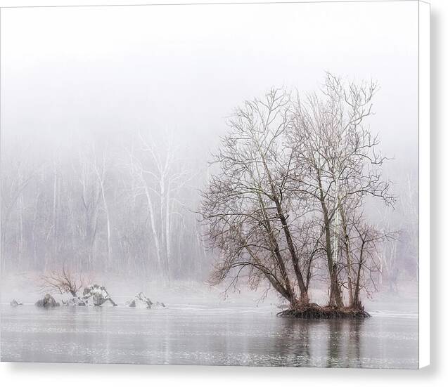 Winter Fog on the River 1 - Canvas Print