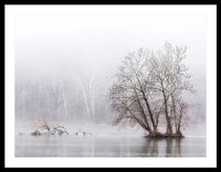 Winter Fog on the River 1 - Framed Print