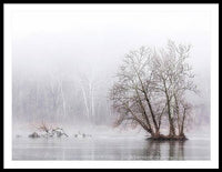 Winter Fog on the River 1 - Framed Print