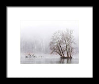 Winter Fog on the River 1 - Framed Print