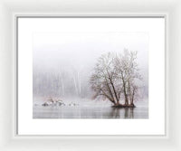 Winter Fog on the River 1 - Framed Print