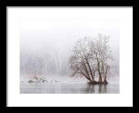 Winter Fog on the River 1 - Framed Print