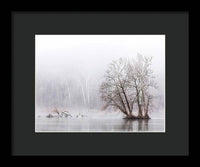 Winter Fog on the River 1 - Framed Print