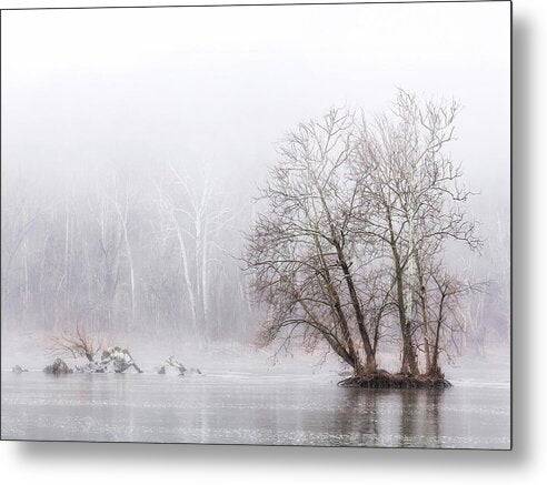 Winter Fog on the River 1 - Metal Print