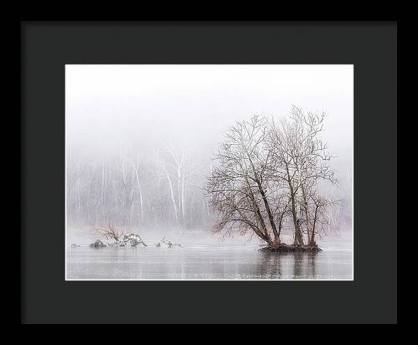 Winter Fog on the River 1 - Framed Print