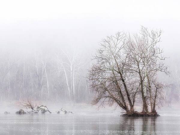 Winter Fog on the River 1 - Art Print