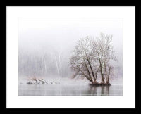 Winter Fog on the River 1 - Framed Print