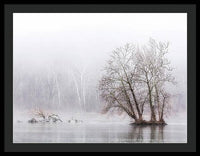 Winter Fog on the River 1 - Framed Print