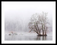 Winter Fog on the River 1 - Framed Print