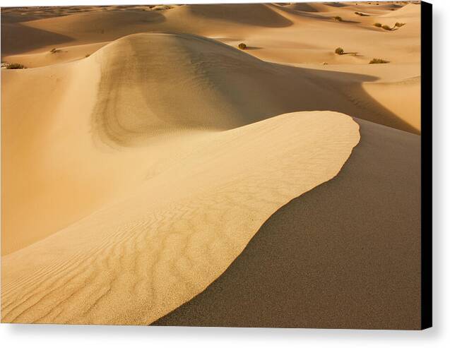 Death Valley Sand Dunes 2 - Canvas Print