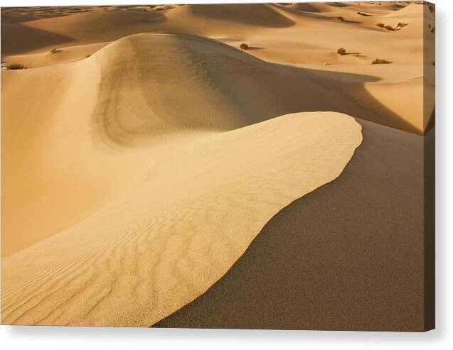 Death Valley Sand Dunes 2 - Canvas Print