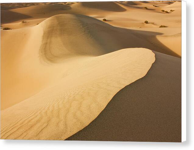 Death Valley Sand Dunes 2 - Canvas Print