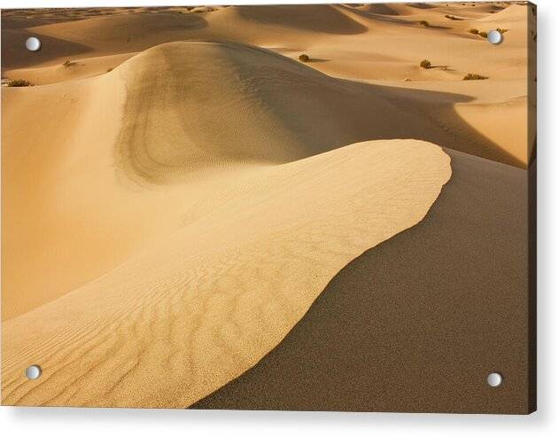 Death Valley Sand Dunes 2 - Acrylic Print