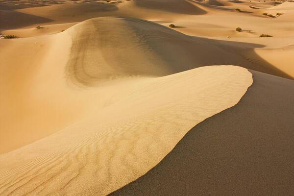 Death Valley Sand Dunes 2 - Art Print