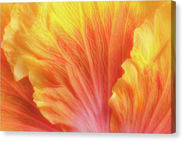 an orange and yellow flower canvas print