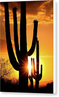 Saguaro Sunset 2 - Canvas Print Canvas Print 1ArtCollection