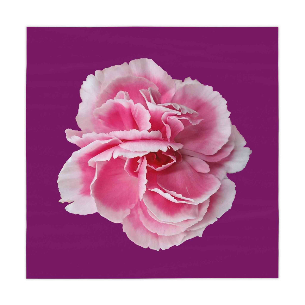 Pink Carnation -Tablecloth Home Decor 1ArtCollection