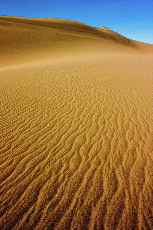 Death Valley Sand Dunes 5 - Art Print