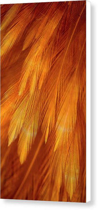 Feather Design - Canvas Print Canvas Print 1ArtCollection