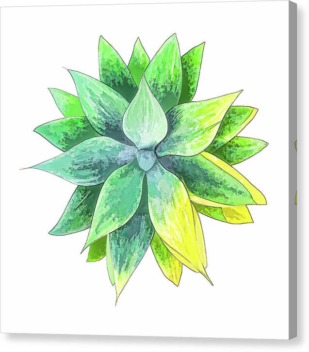 Agave Motif - Canvas Print