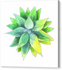 Agave Motif - Canvas Print