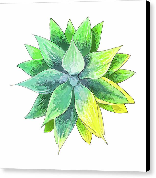 Agave Motif - Canvas Print