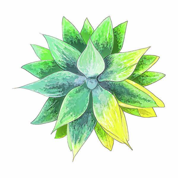 Agave Motif - Art Print