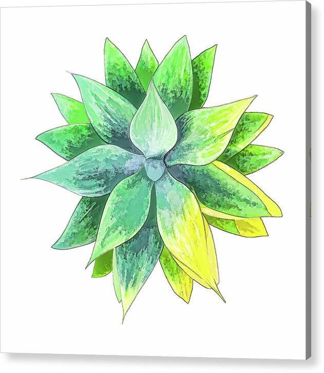 Agave Motif - Acrylic Print