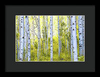 Aspen Glow - Framed Print