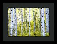 Aspen Glow - Framed Print