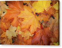 Autumn Design Canvas Print | at 1ArtCollection.com.