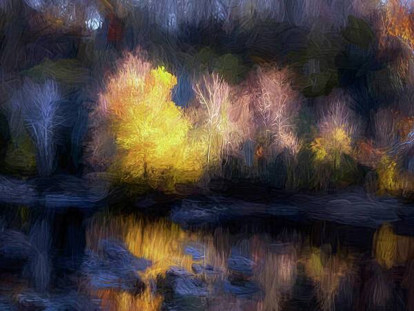 Autumn Tree Reflection - Art Print