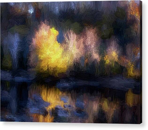 Autumn Tree Reflection - Acrylic Print