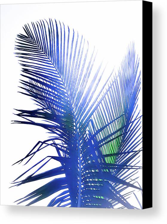 Azure Palms Design - Canvas Print