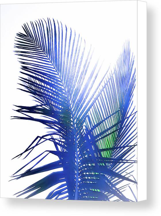 Azure Palms Design - Canvas Print