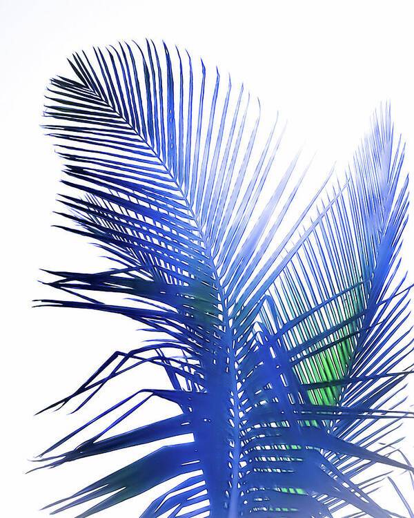 Azure Palms Design - Art Print