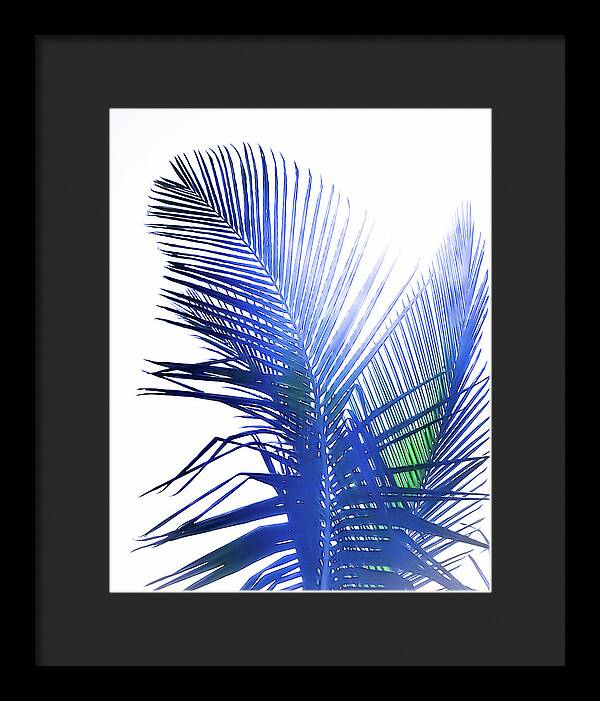 Azure Palms Design - Framed Print