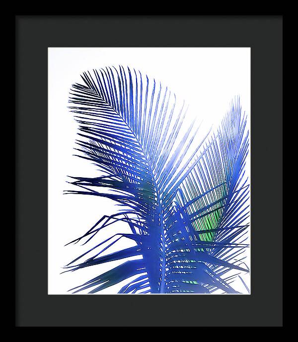 Azure Palms Design - Framed Print