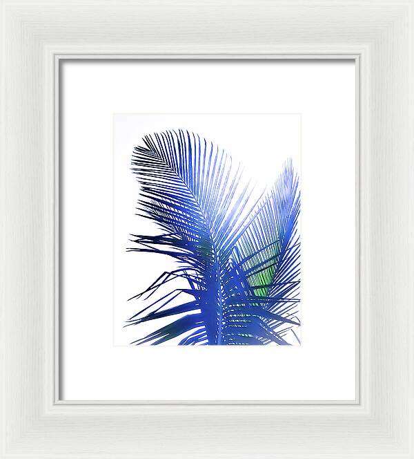 Azure Palms Design - Framed Print