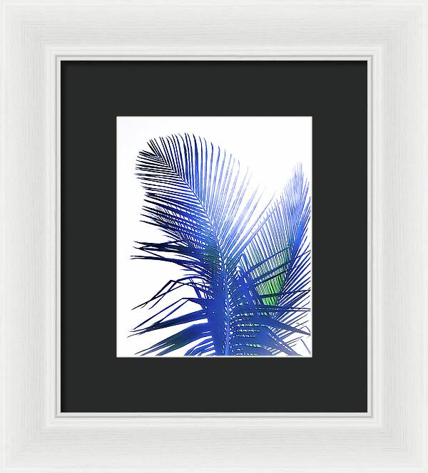 Azure Palms Design - Framed Print