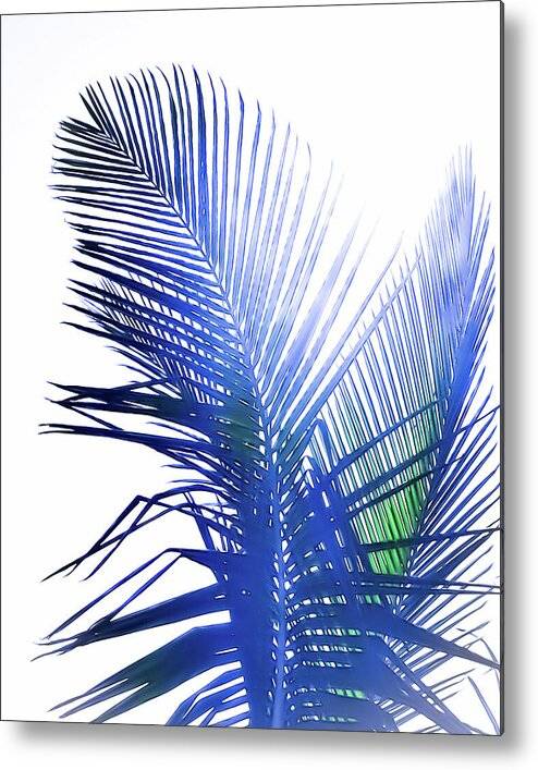 Azure Palms Design - Metal Print