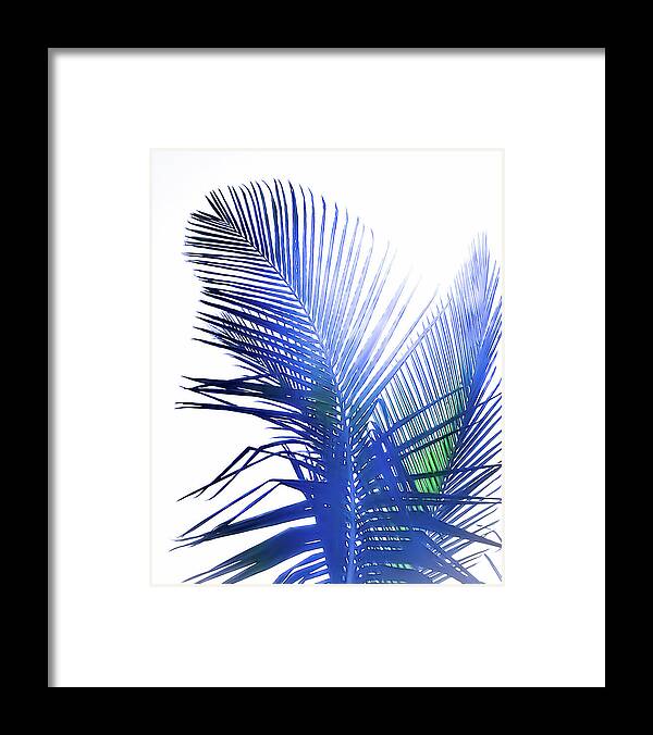 Azure Palms Design - Framed Print