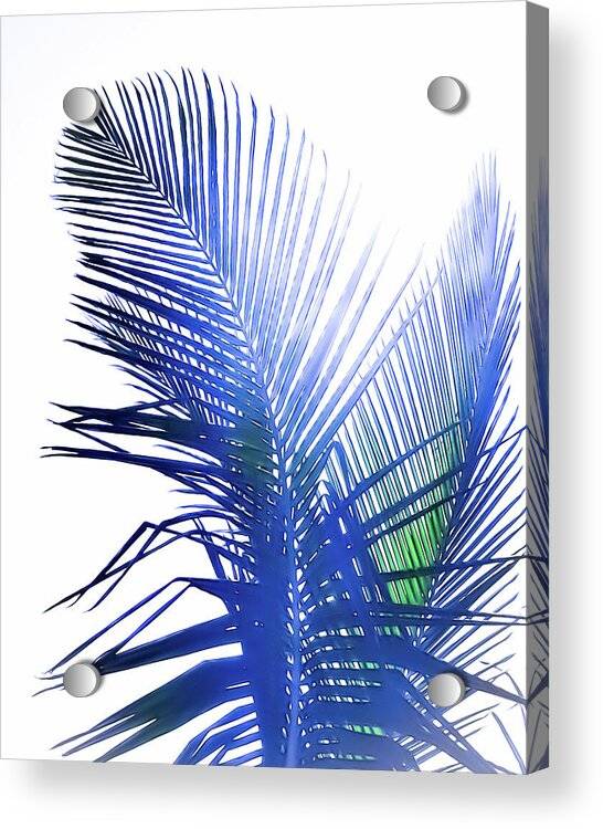 Azure Palms Design - Acrylic Print